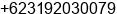 Phone number of Mr. Sandhi Gou at SURABAYA